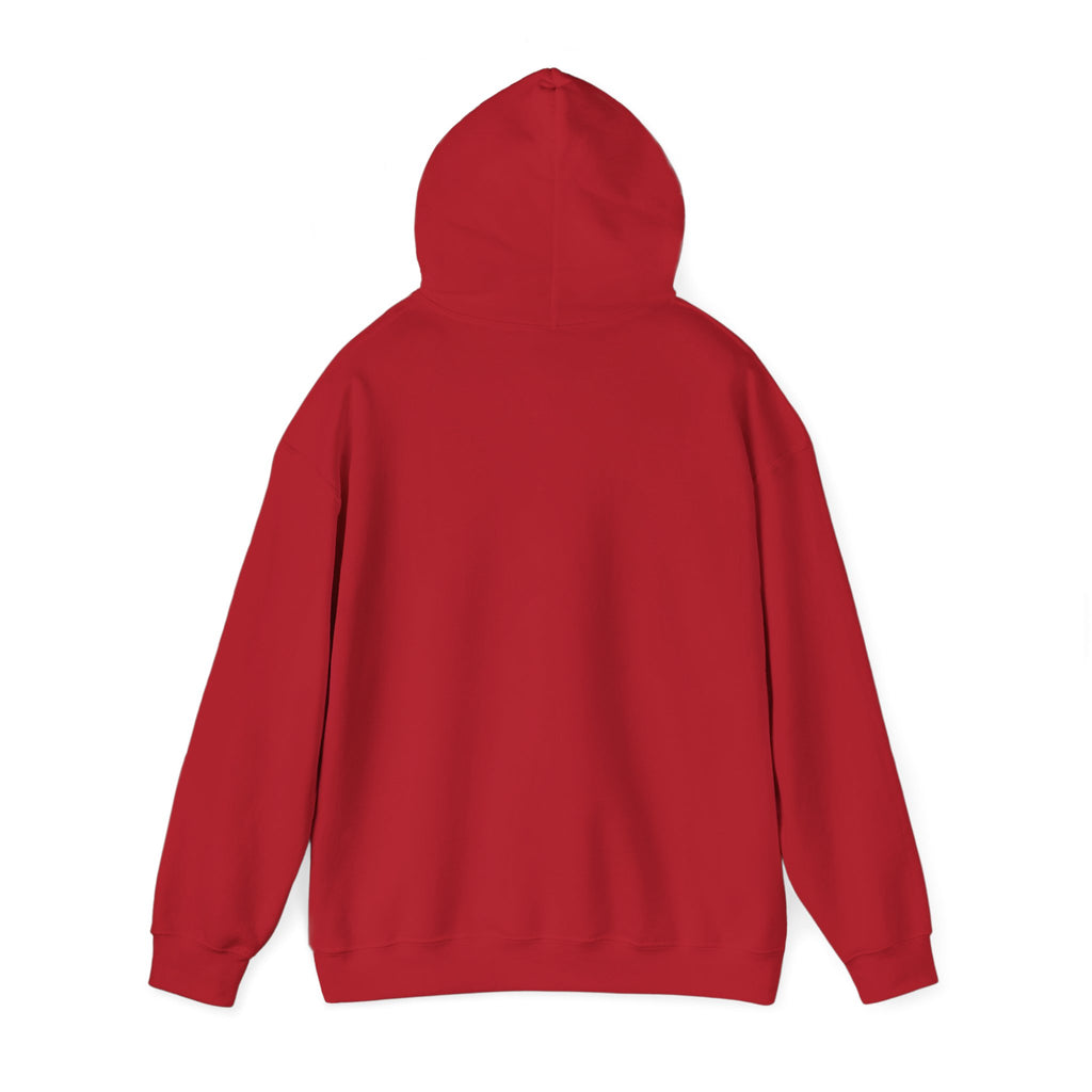 Luxurious AMIRAH Brand Hoodie, High-Quality Unisex Sweatshirt.