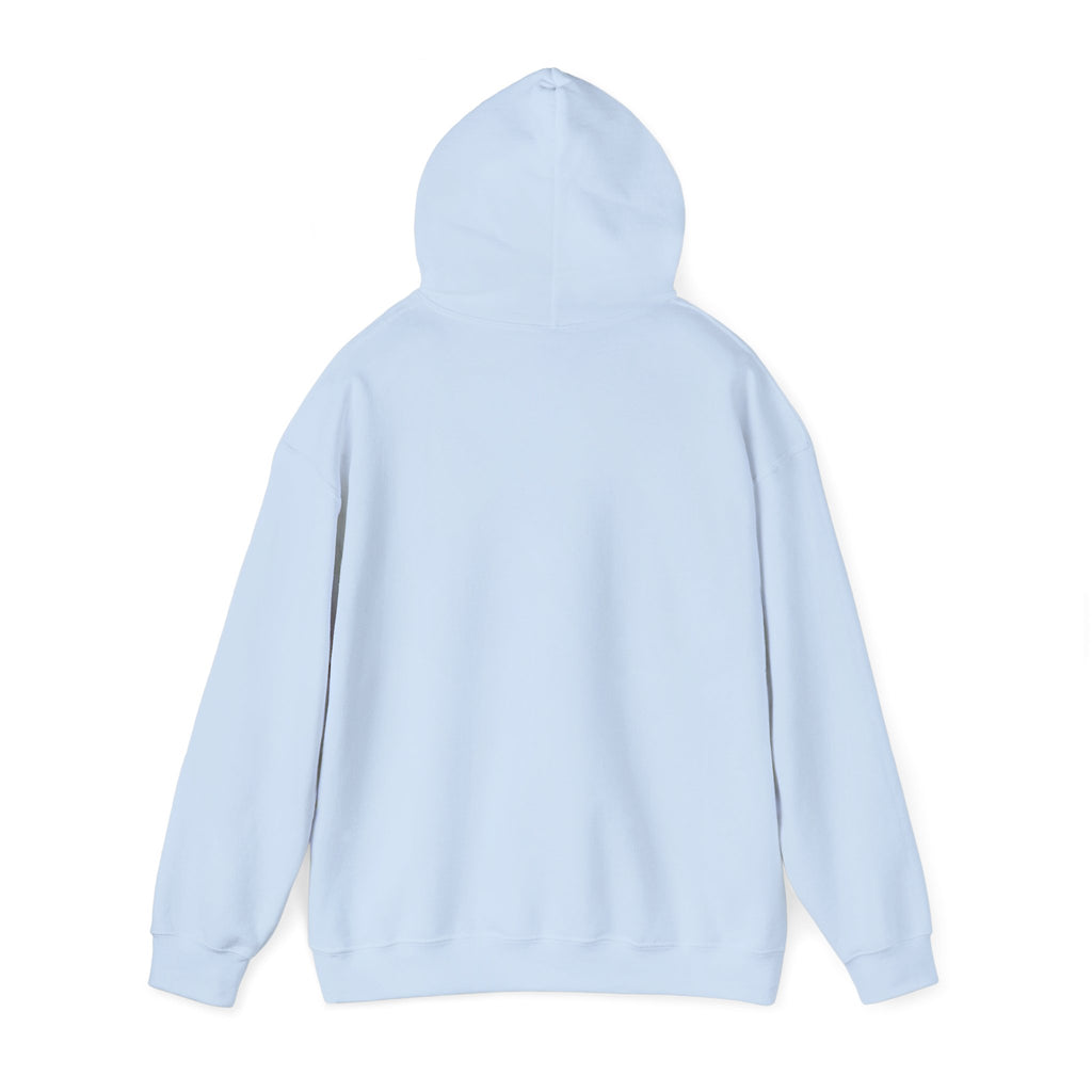 Luxurious AMIRAH Brand Hoodie, High-Quality Unisex Sweatshirt.