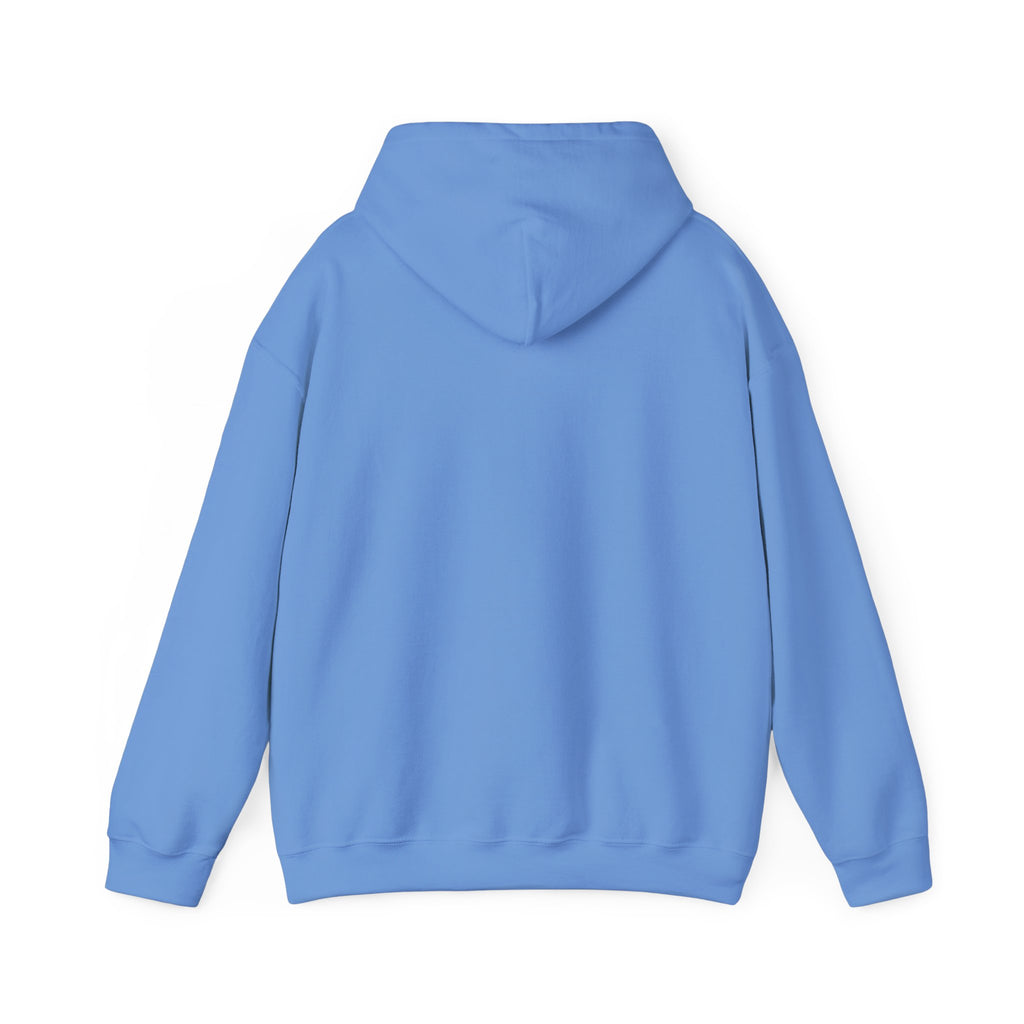 Luxurious AMIRAH Brand Hoodie, High-Quality Unisex Sweatshirt.