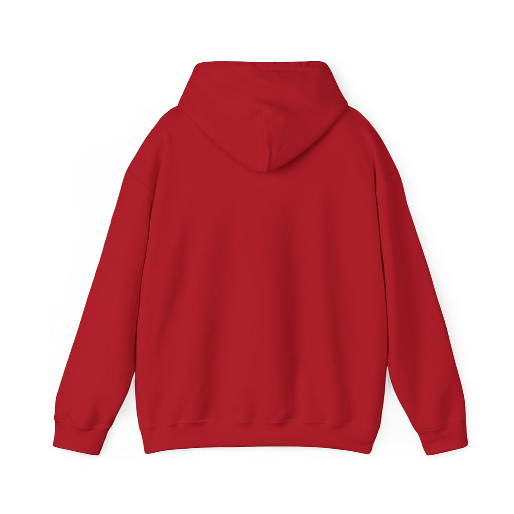 Luxurious AMIRAH Brand Hoodie, High-Quality Unisex Sweatshirt.