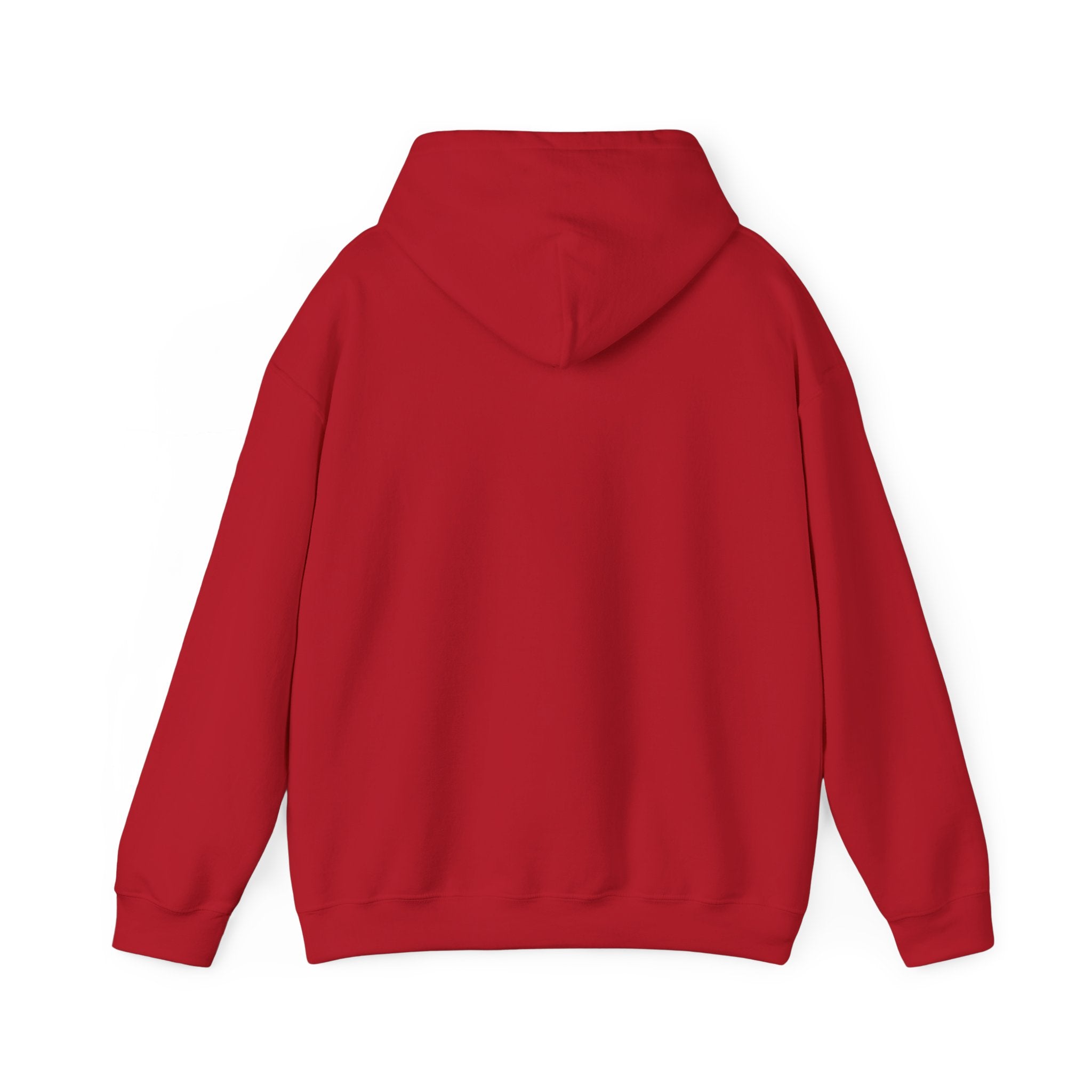 Luxurious AMIRAH Brand Hoodie, High-Quality Unisex Sweatshirt.