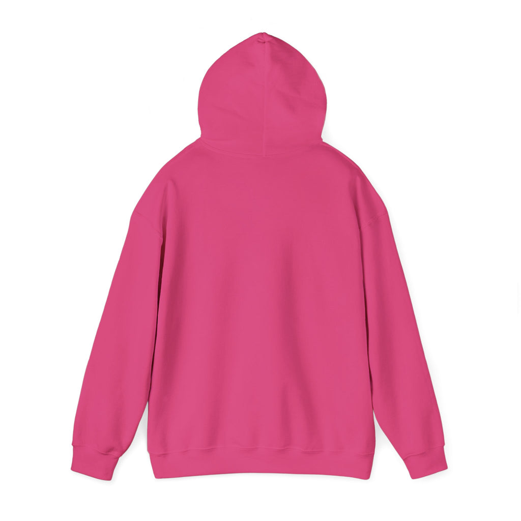 Luxurious AMIRAH Brand Hoodie, High-Quality Unisex Sweatshirt.