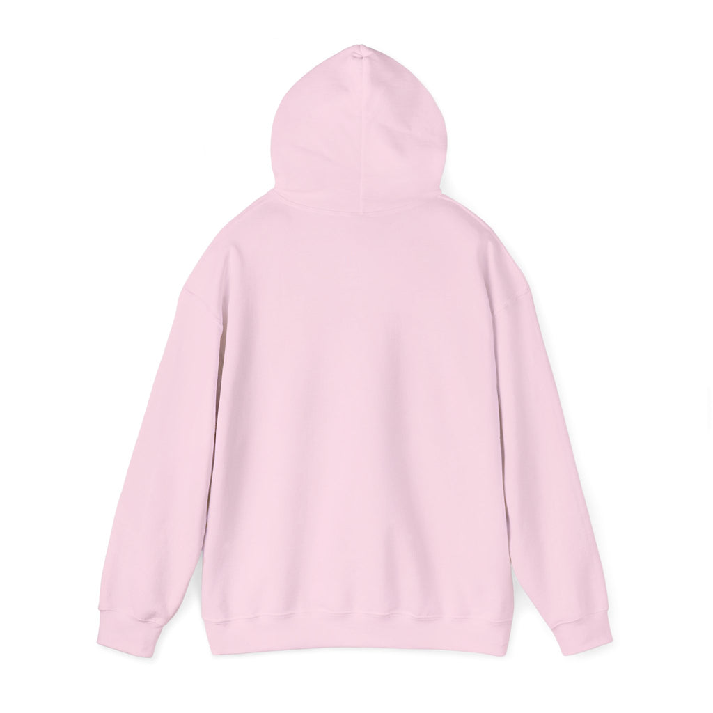 Luxurious AMIRAH Brand Hoodie, High-Quality Unisex Sweatshirt.