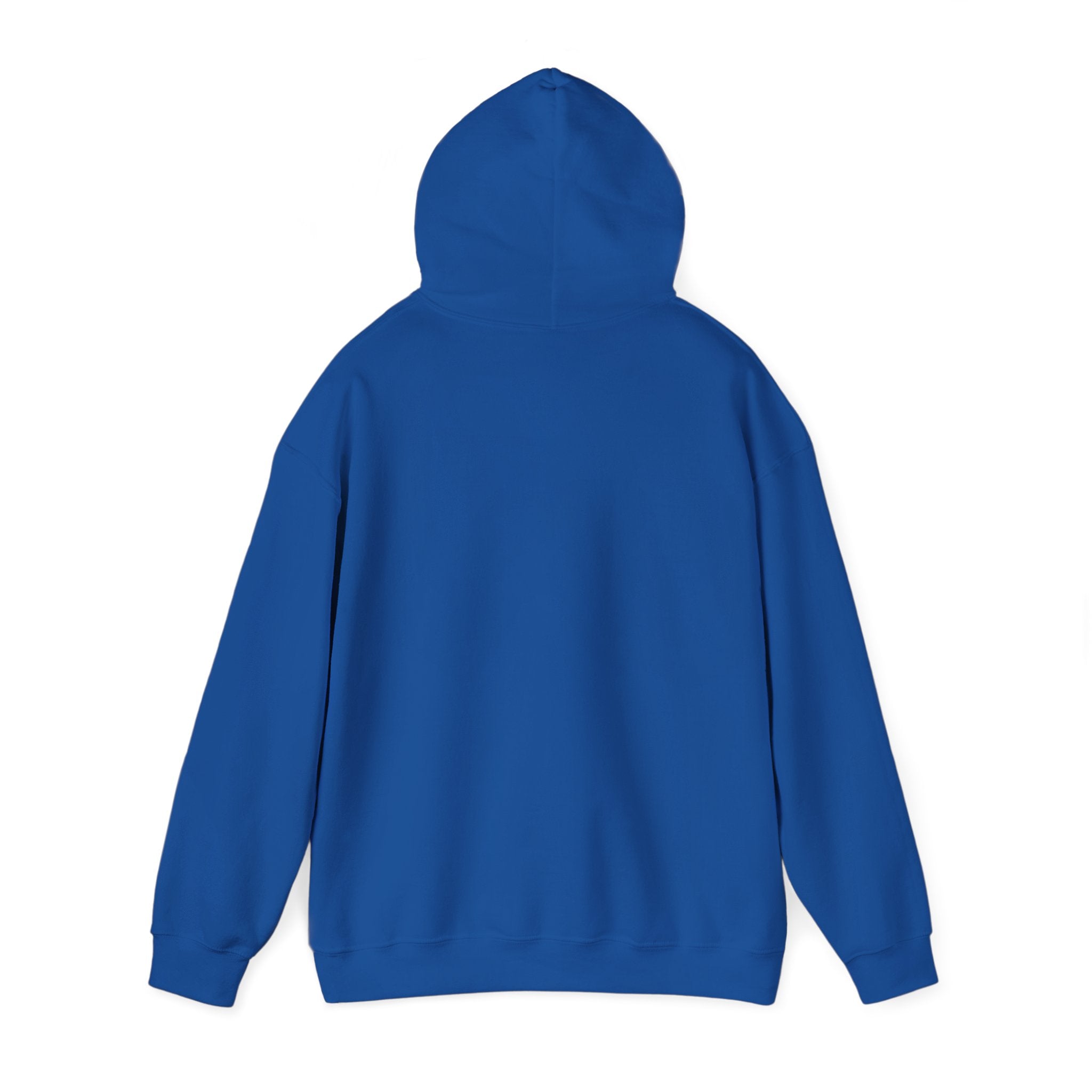 Luxurious AMIRAH Brand Hoodie, High-Quality Unisex Sweatshirt.