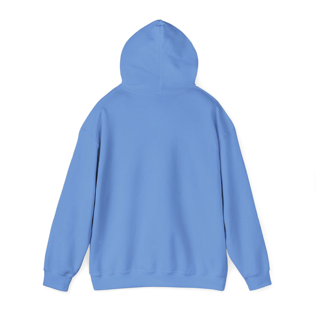 Luxurious AMIRAH Brand Hoodie, High-Quality Unisex Sweatshirt.