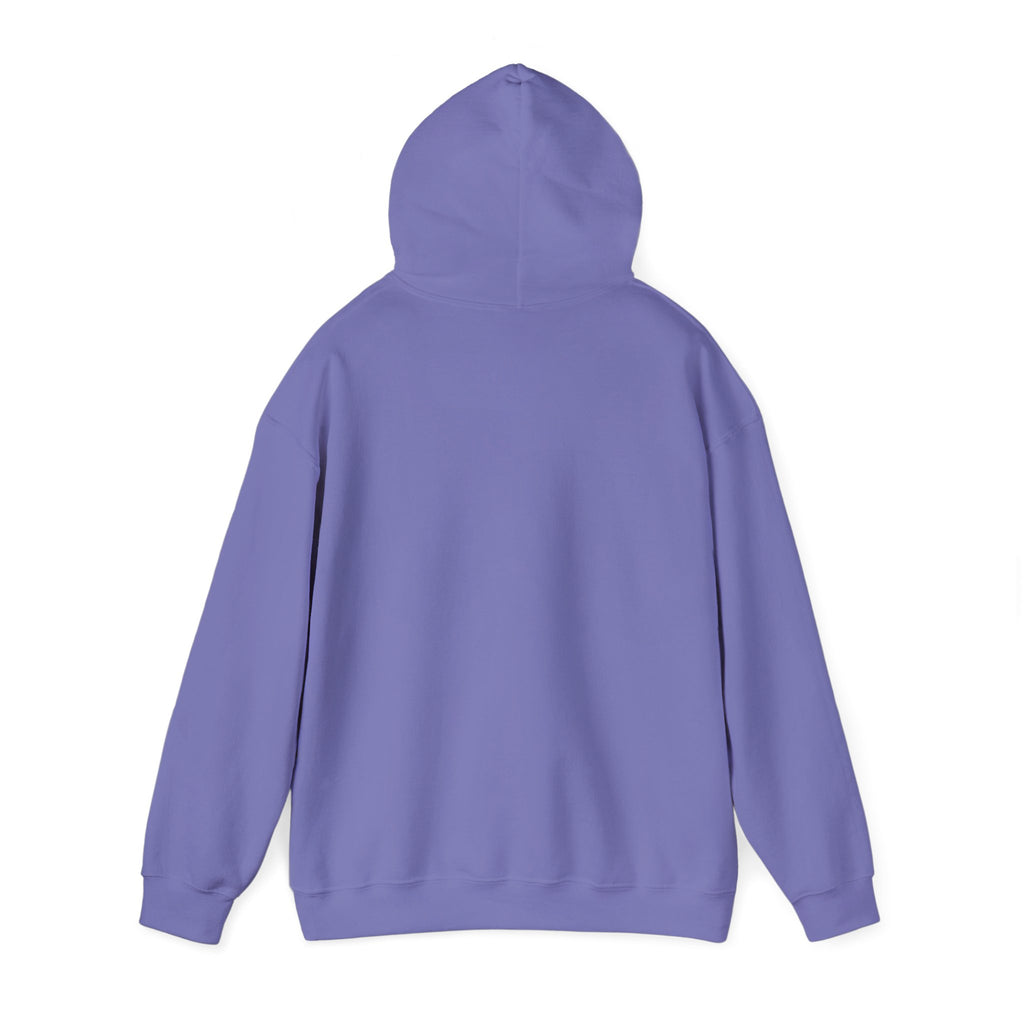 Luxurious AMIRAH Brand Hoodie, High-Quality Unisex Sweatshirt.